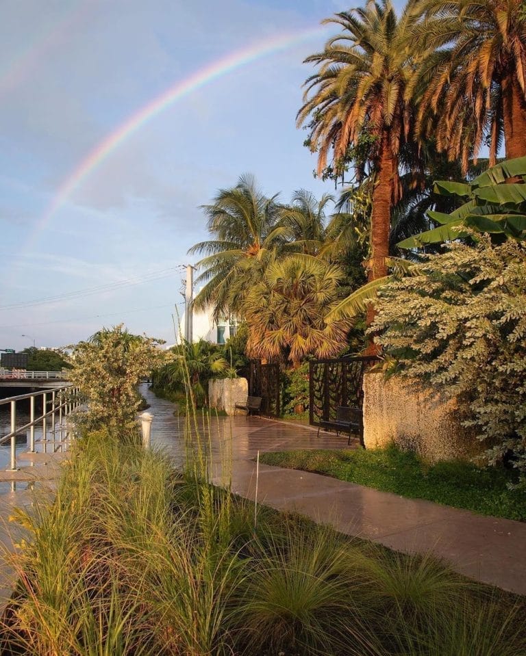 10+ Most Instagrammable Places in Miami