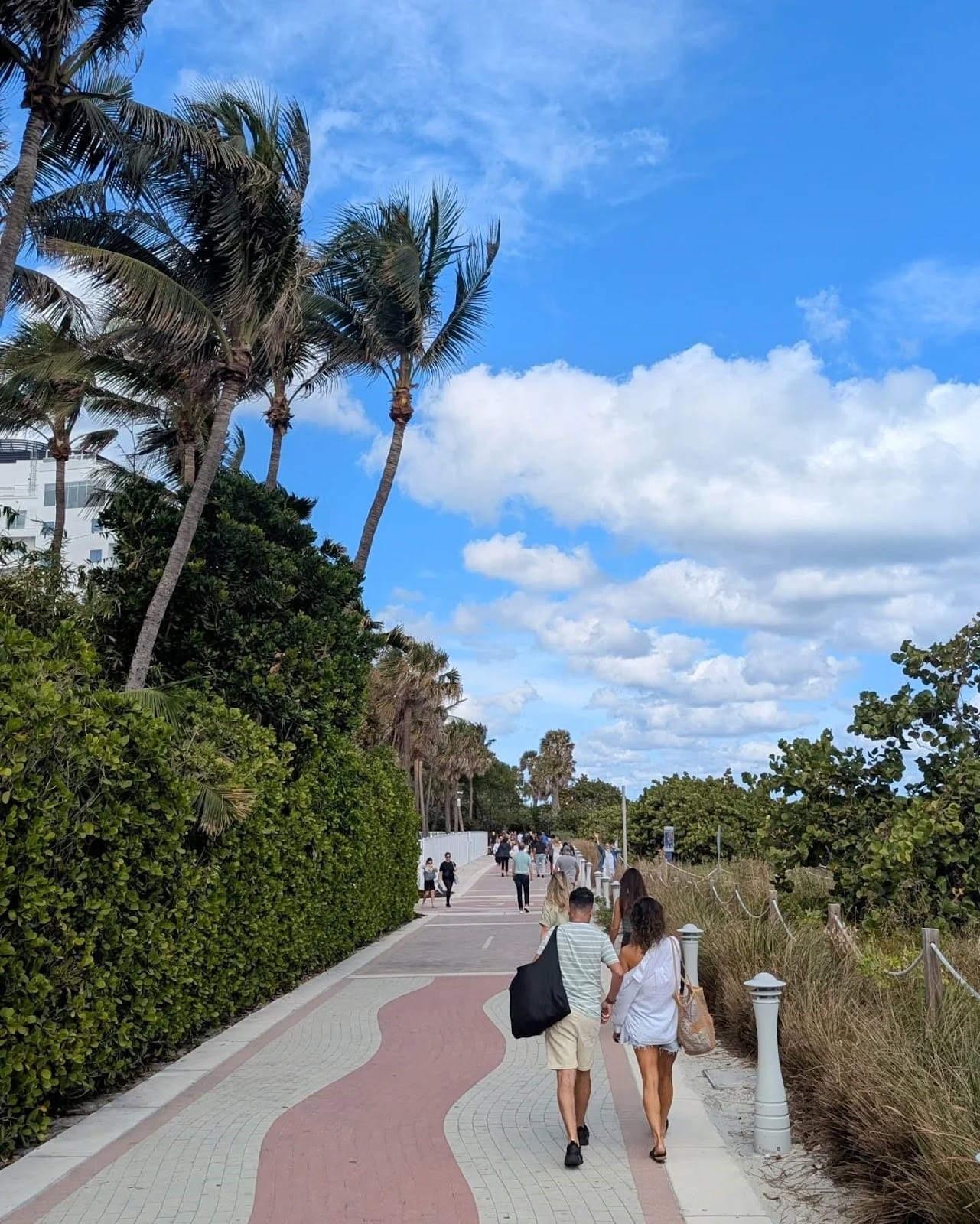 Free Things To Do in Miami