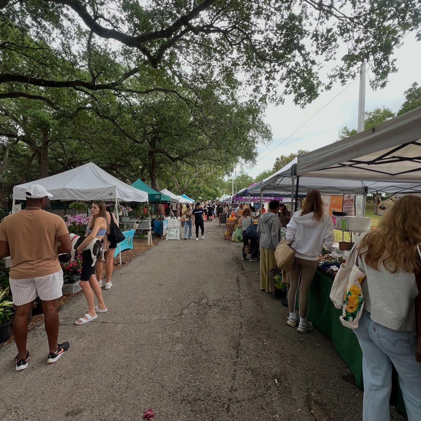 Free Things To Do in Miami