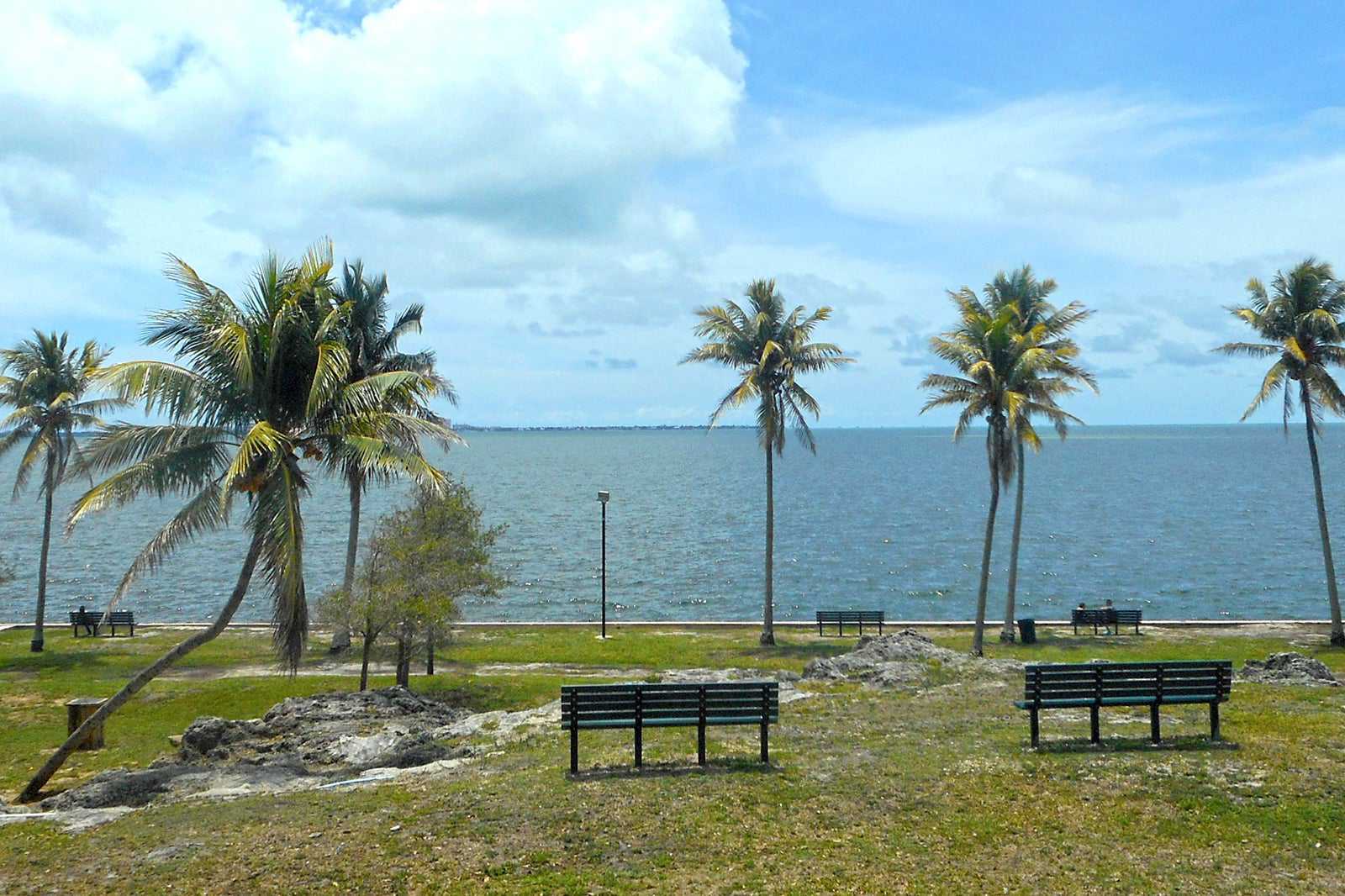 Free Things To Do in Miami