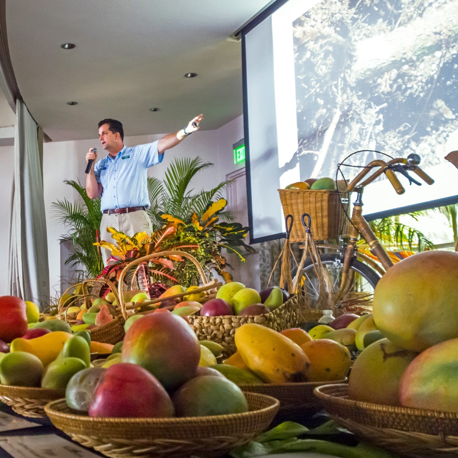 Things To Do in Miami This July (2025)