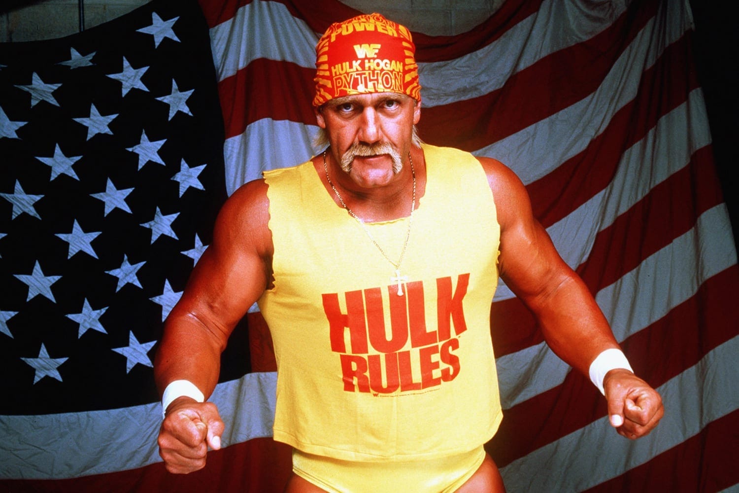Hulk Hogan