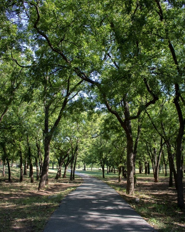 The Best Parks In Miami This Summer