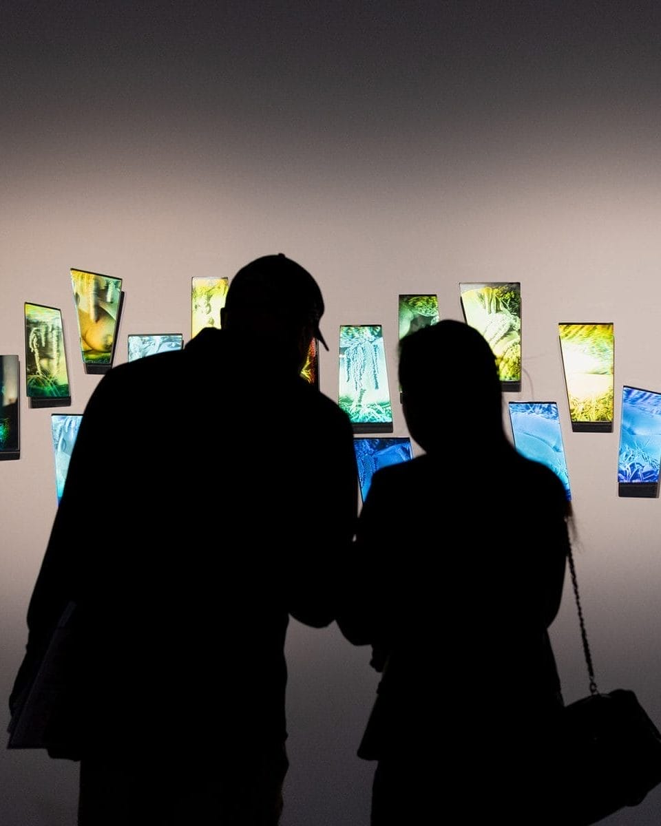 Art Basel Free Installations, Top Free Festival