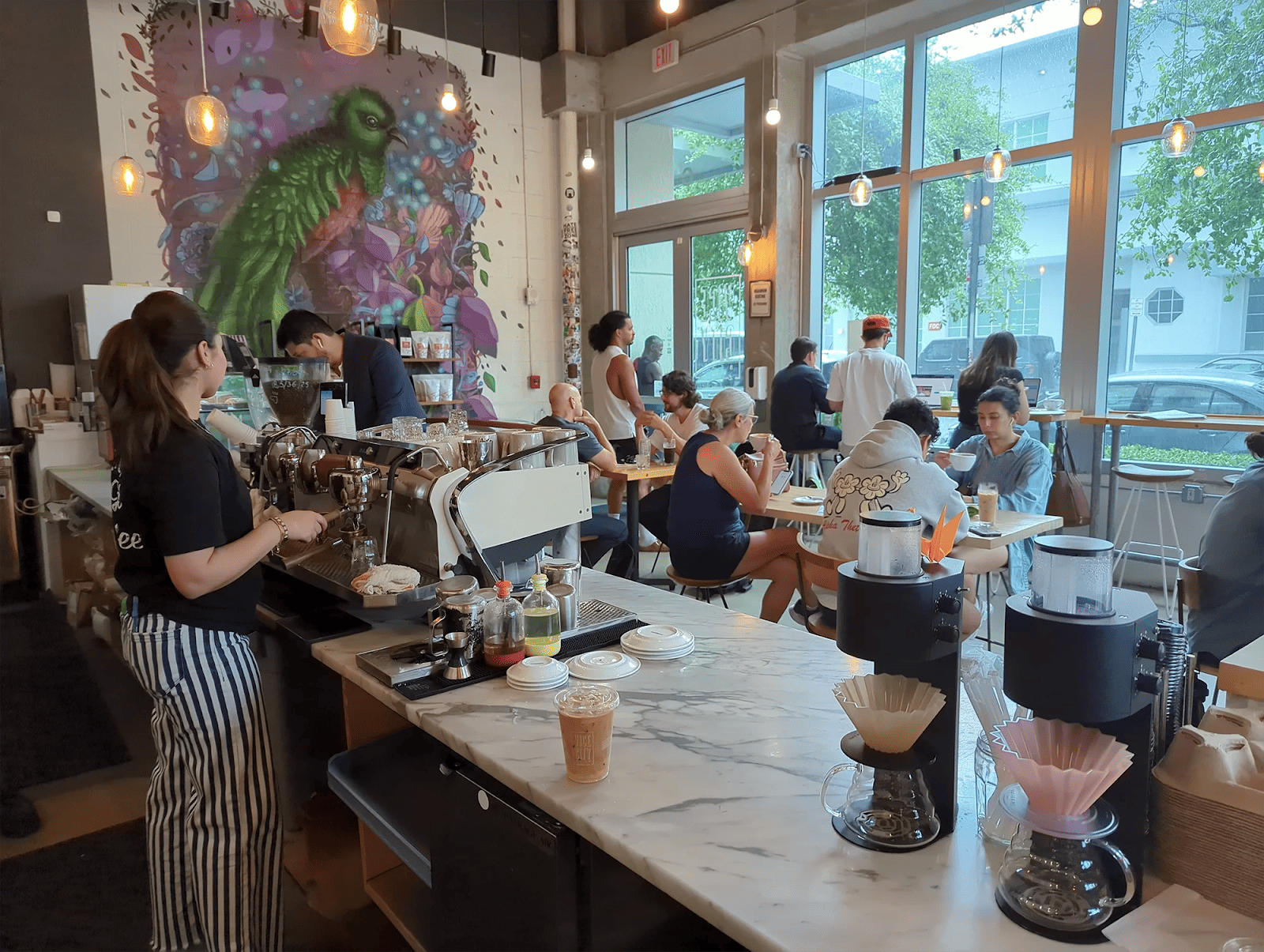 Vice City Bean, Best Coffee Spots in Miami