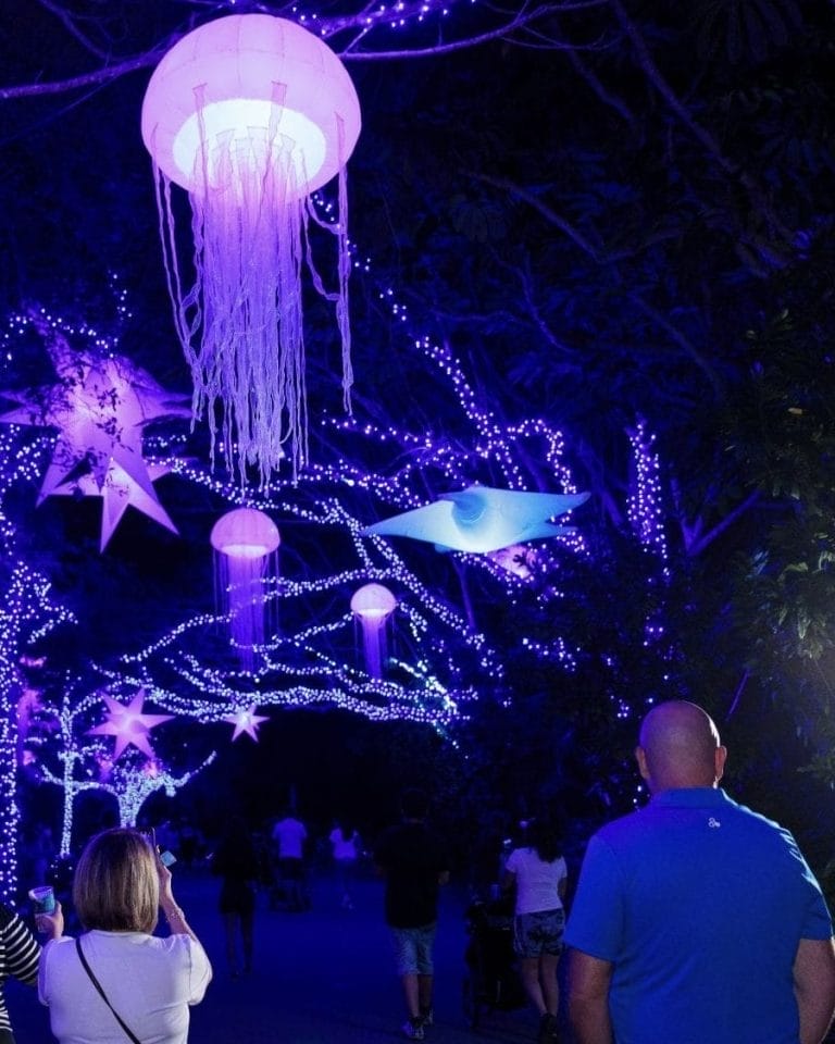 Festive Things To Do