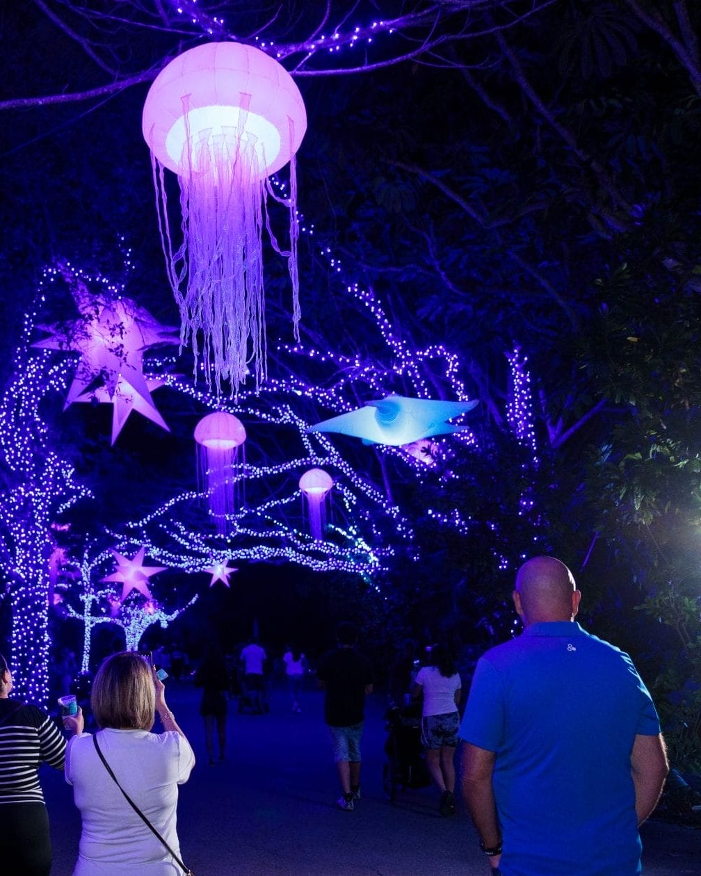 Zoo Lights at Zoo Miami, Festive Things To Do