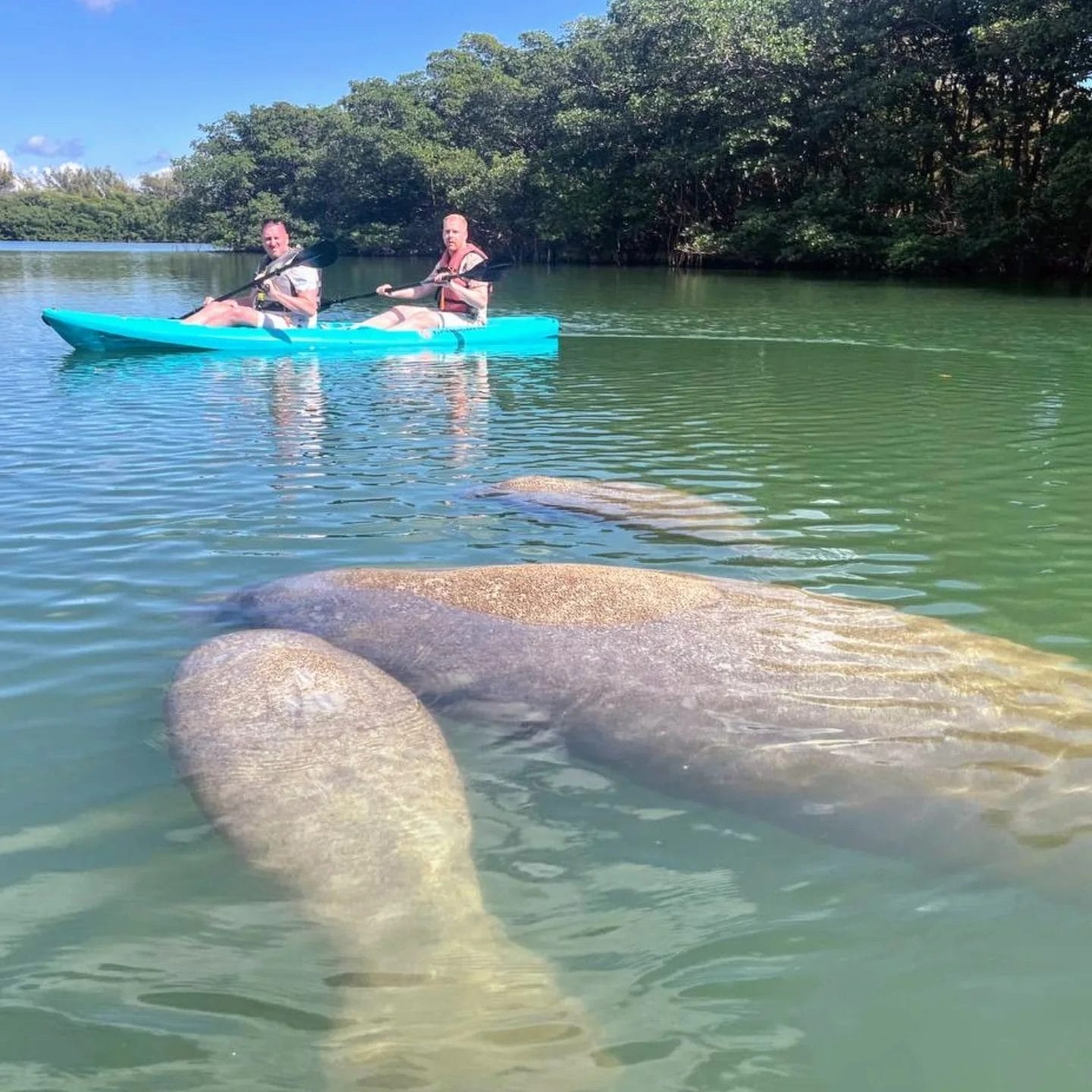 PADL Beach Club (Virginia Key)