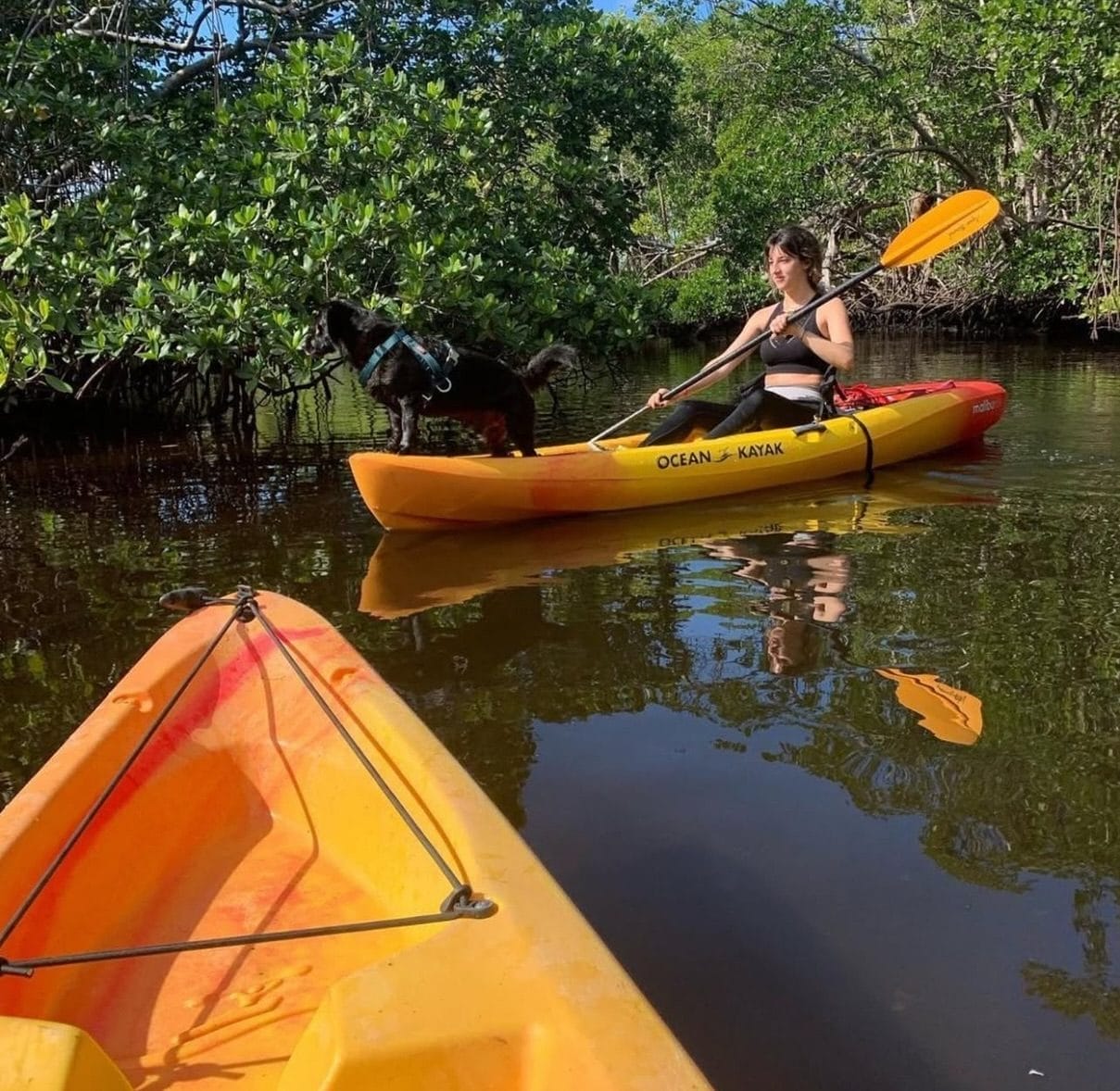 Oleta River State Park