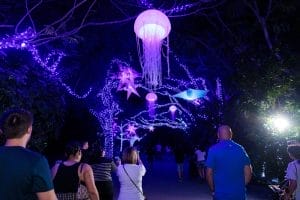 best things to do in Vietnam