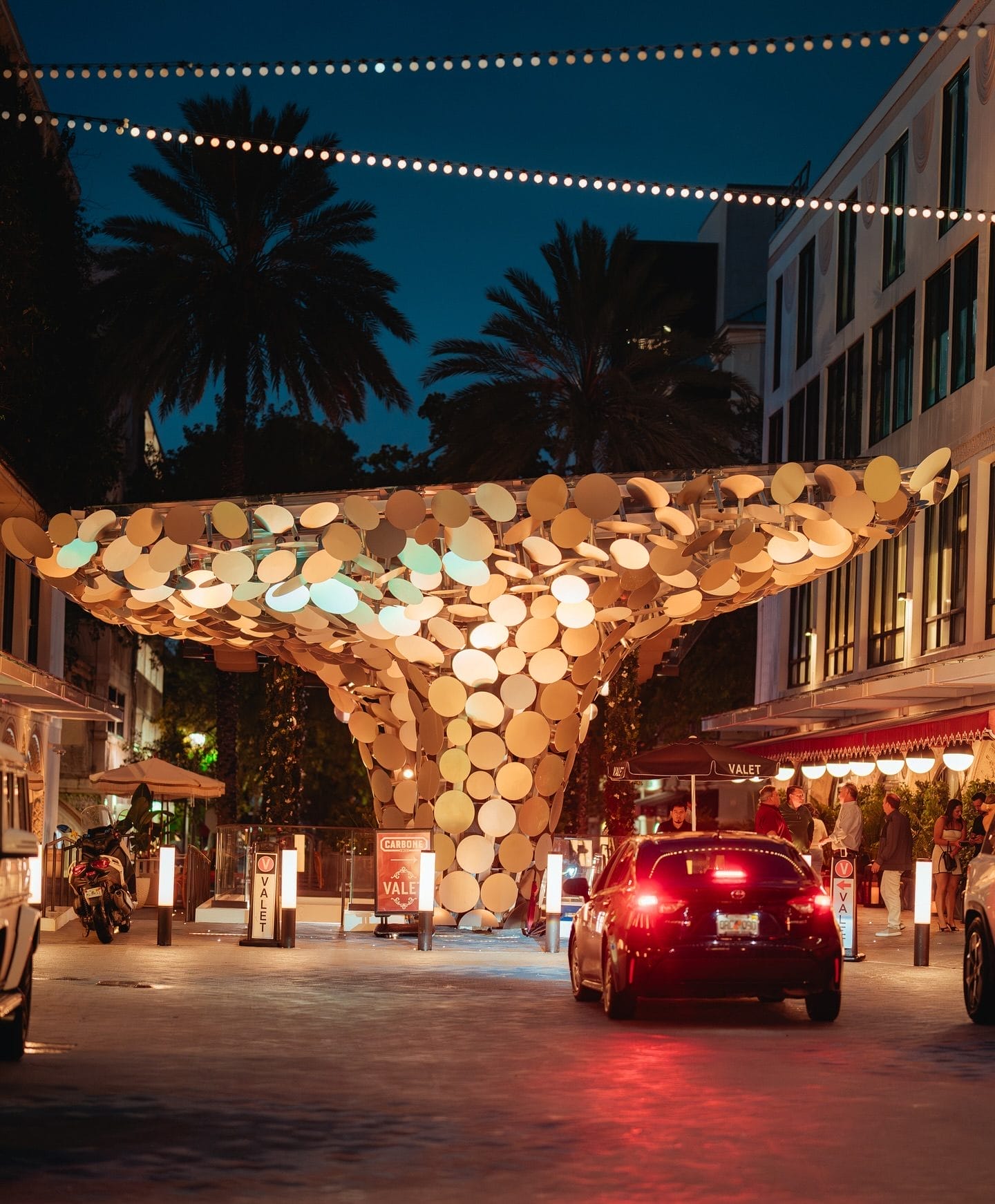 Miami Christmas Trees 2025