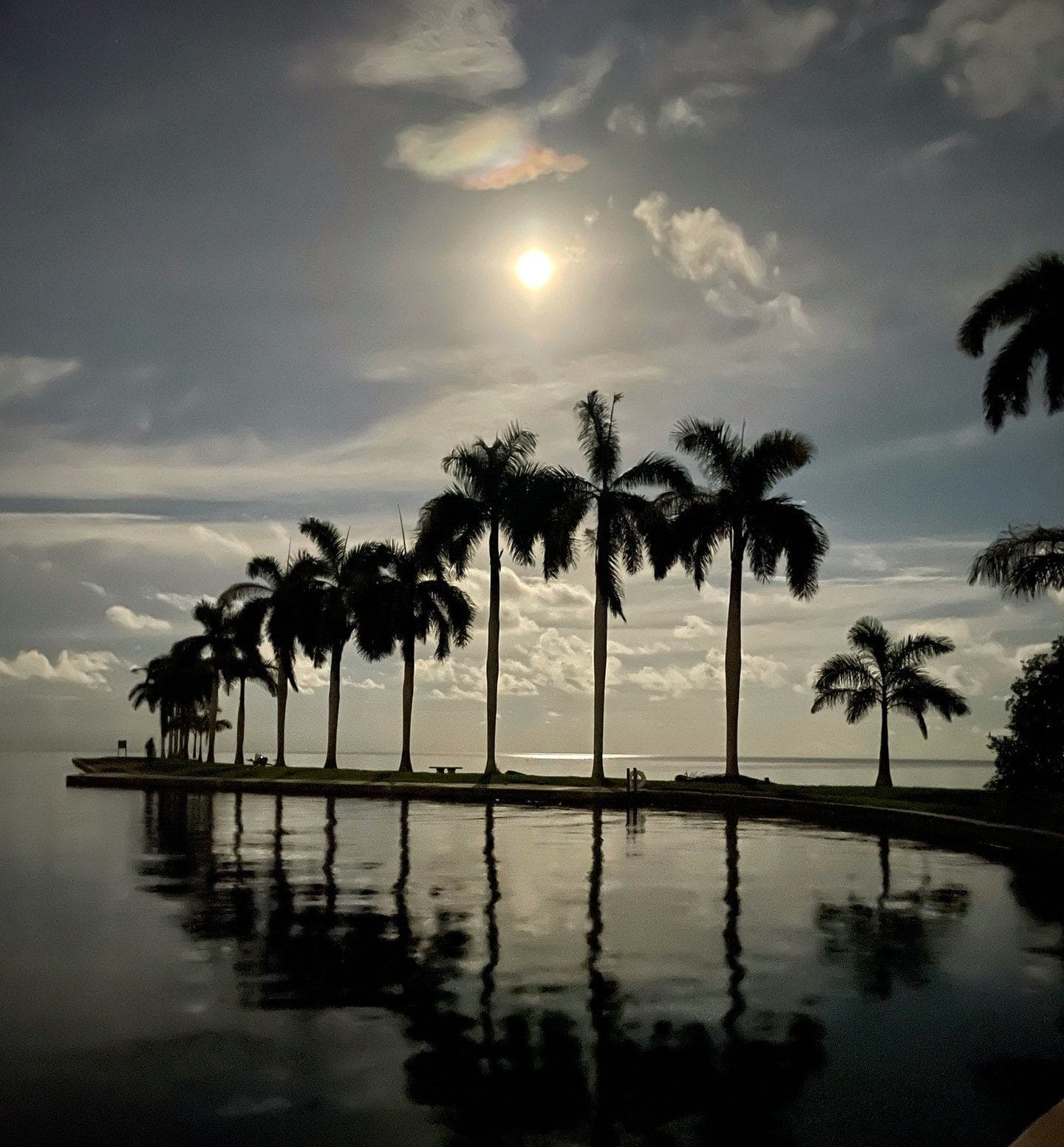 Miami Holiday Festivals 2025