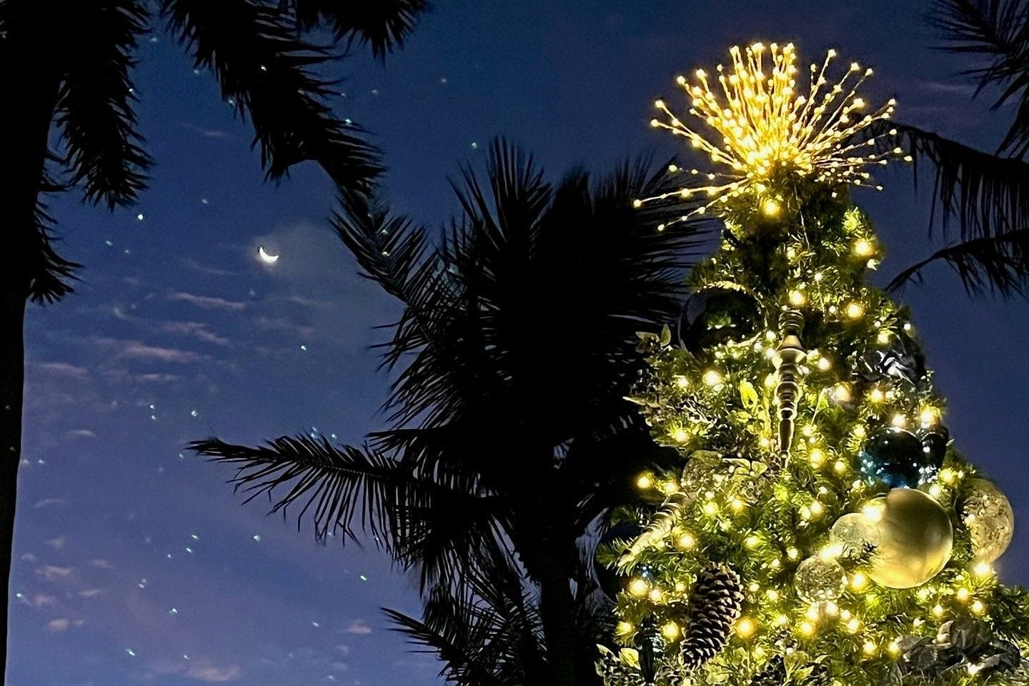 holiday lights in Miami 2025