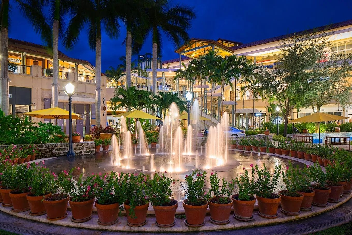 Black Friday Miami 2025